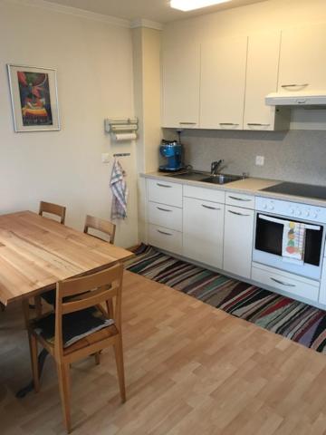 Kuchyň nebo kuchyňský kout v ubytování Bad Ragaz Appartement