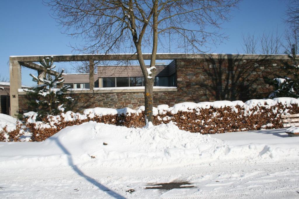 Room Art Lovers om vinteren