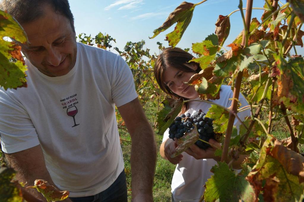 Agriturismo La Guarda vendégei