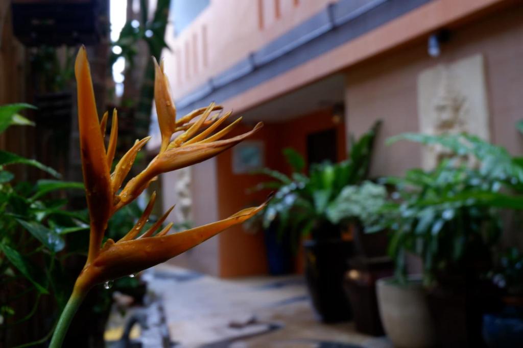 Fotografie z fotogalerie ubytování Baan Kamala Fantasea Hotel v destinaci Kamala pláž
