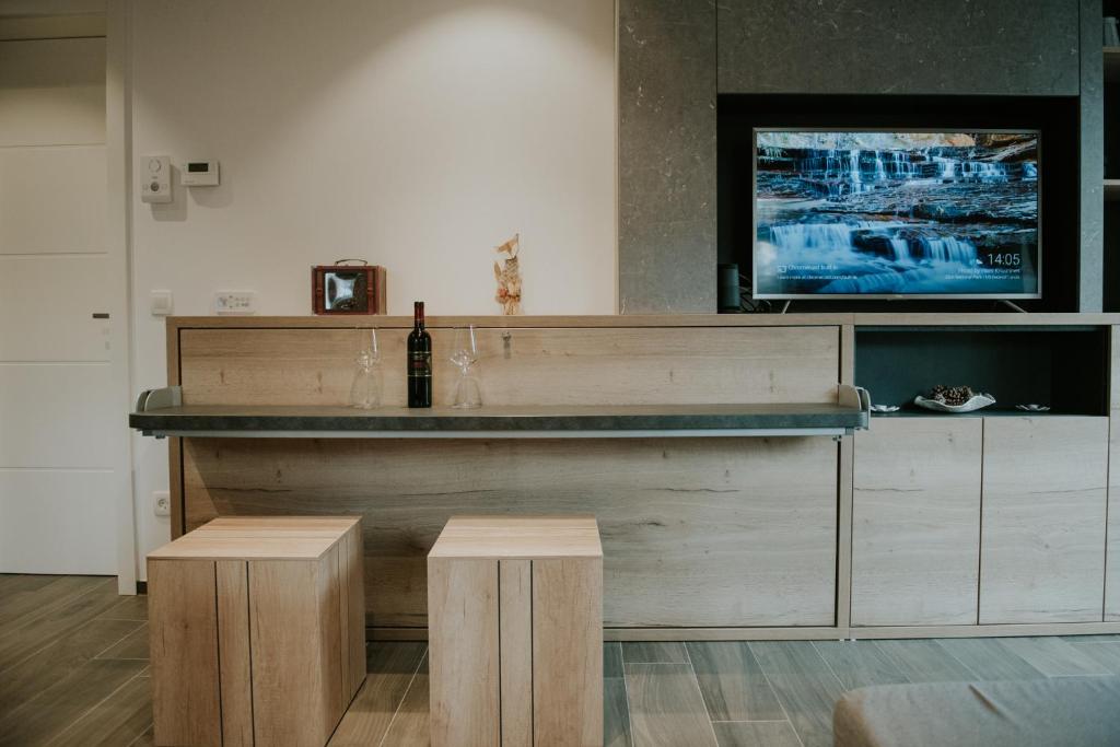 TV a/nebo společenská místnost v ubytování Vila Mojca Apartments Jasna & Jelka