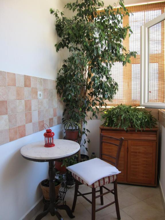 Fotografia z galérie ubytovania Sinistaj Rooms v Dubrovníku
