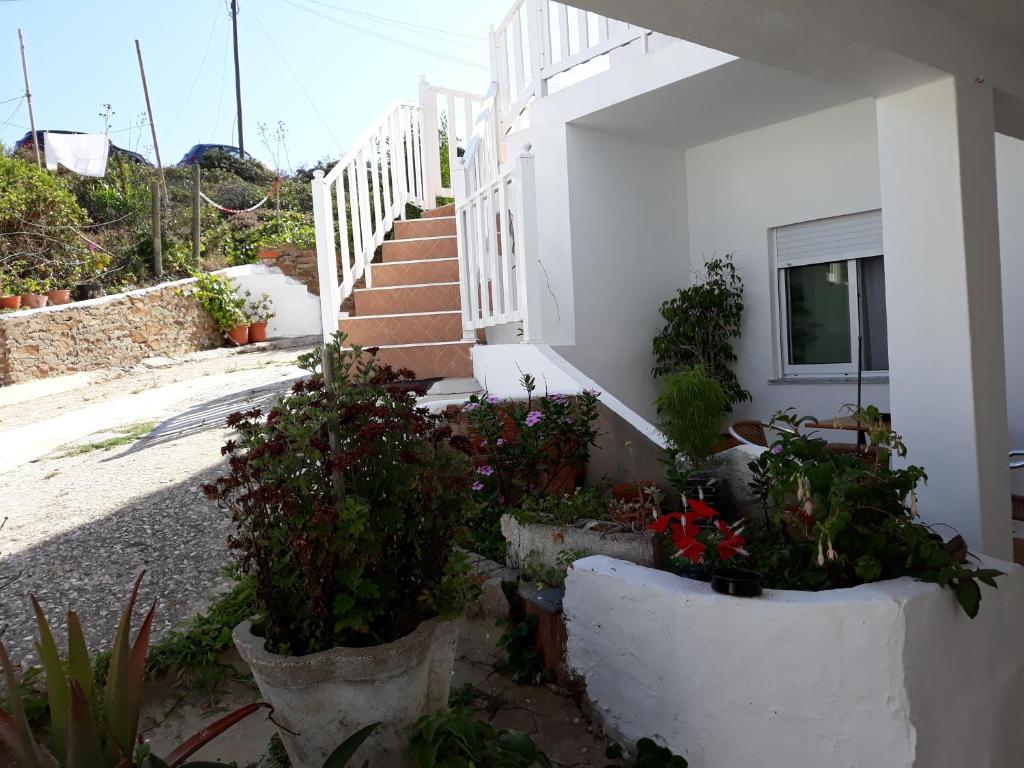 Zahrada ubytování Casa Dorita
