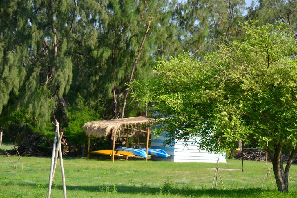 Zahrada ubytování Ecoresort Sumba Dream