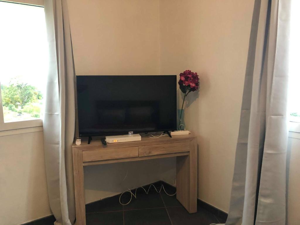 TV a/nebo společenská místnost v ubytování Ferme l'Eau de Coco