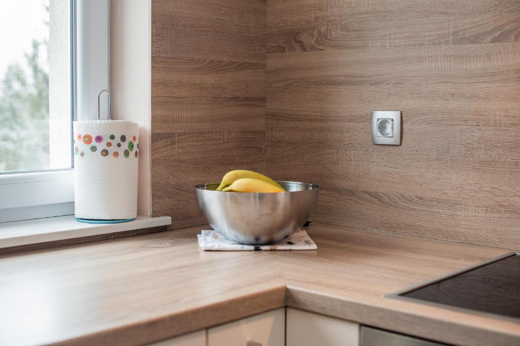 Fotografie z fotogalerie ubytování Apartment Stil near Terme Paradiso v destinaci Dobova