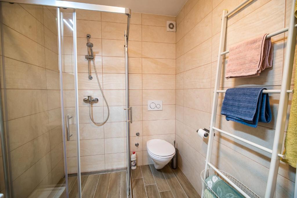 Koupelna v ubytování Apartment Stil near Terme Paradiso