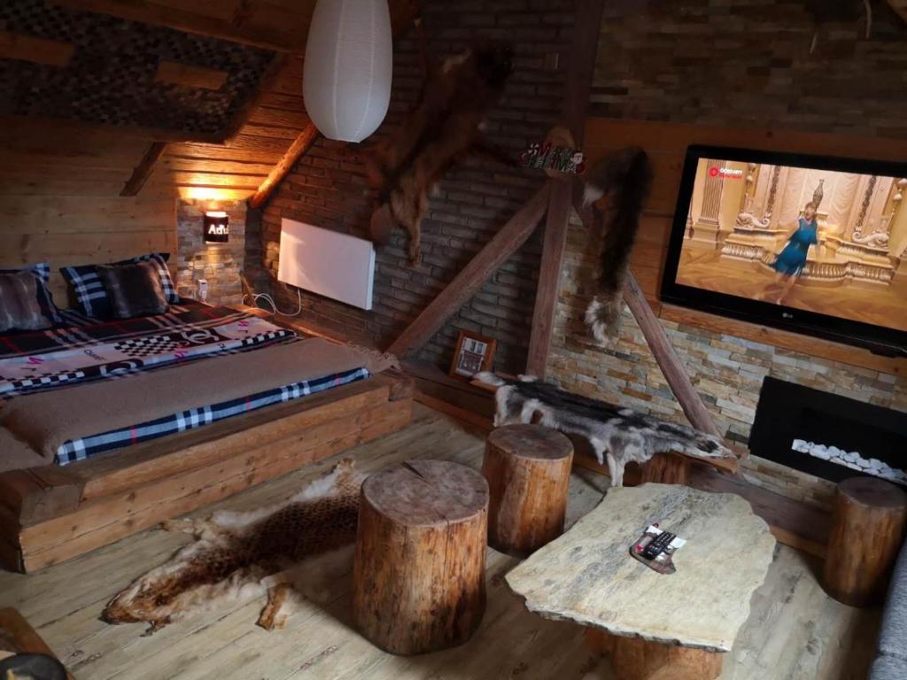 TV a/nebo společenská místnost v ubytování Aspen