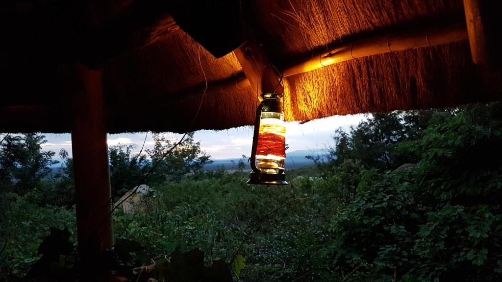 Fotografie z fotogalerie ubytování Pumba Safari Cottages v destinaci Busonga