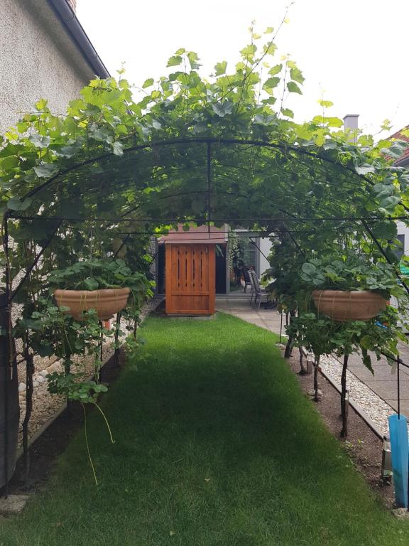 Vonkajšia záhrada v ubytovaní Zur Weinlaube