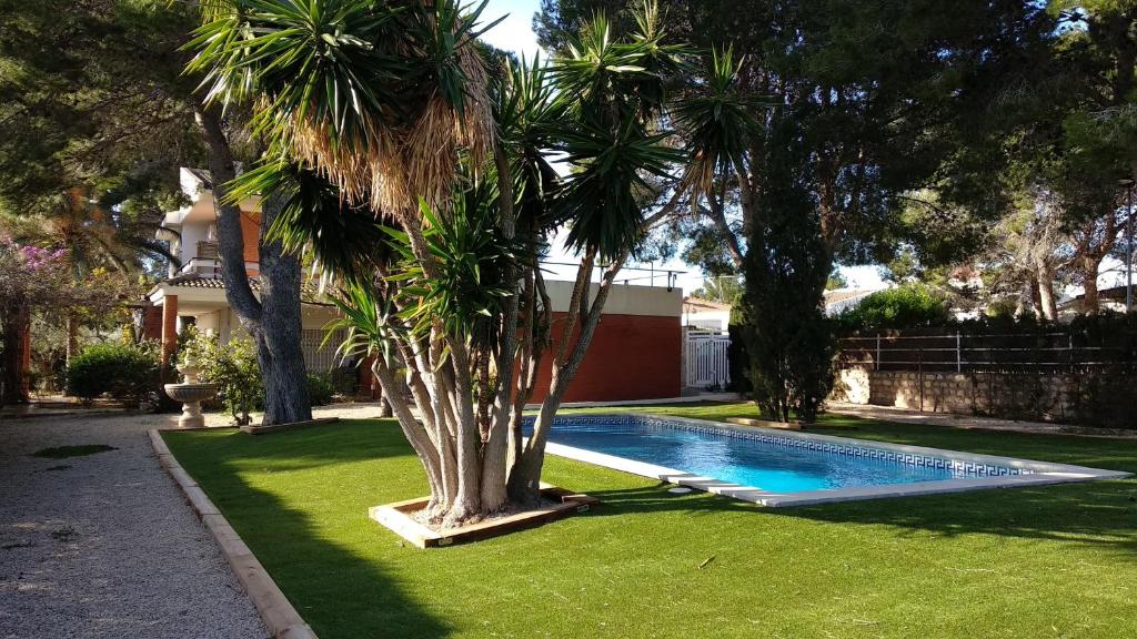 a palm tree sitting next to a swimming pool at Villa Salitre in L'Ametlla de Mar