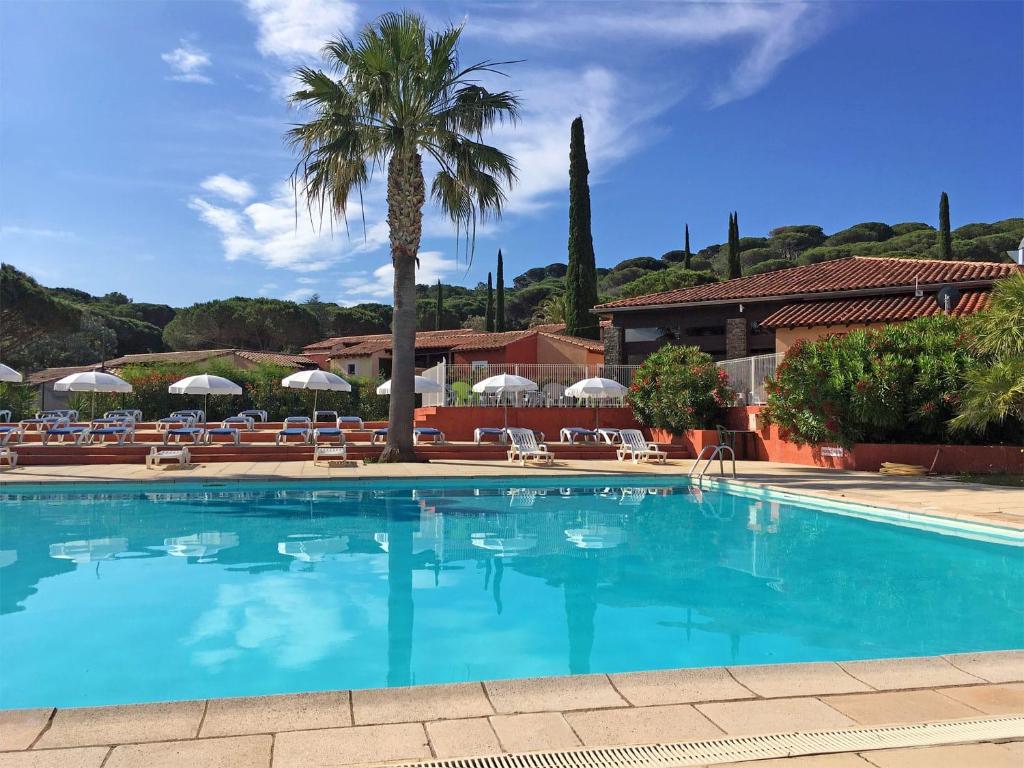 une grande piscine avec des chaises et un palmier dans l'établissement Village Vacances de Ramatuelle - Les sentier des pins, à Saint-Tropez
