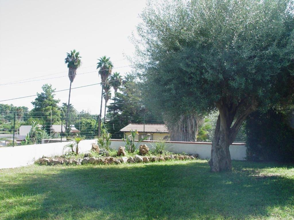 A garden outside Summer house