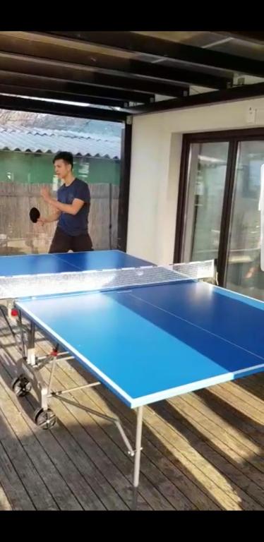 Stolní tenis v ubytování Pensiunea Pescarul Vanator Delta Dunarii nebo okolí