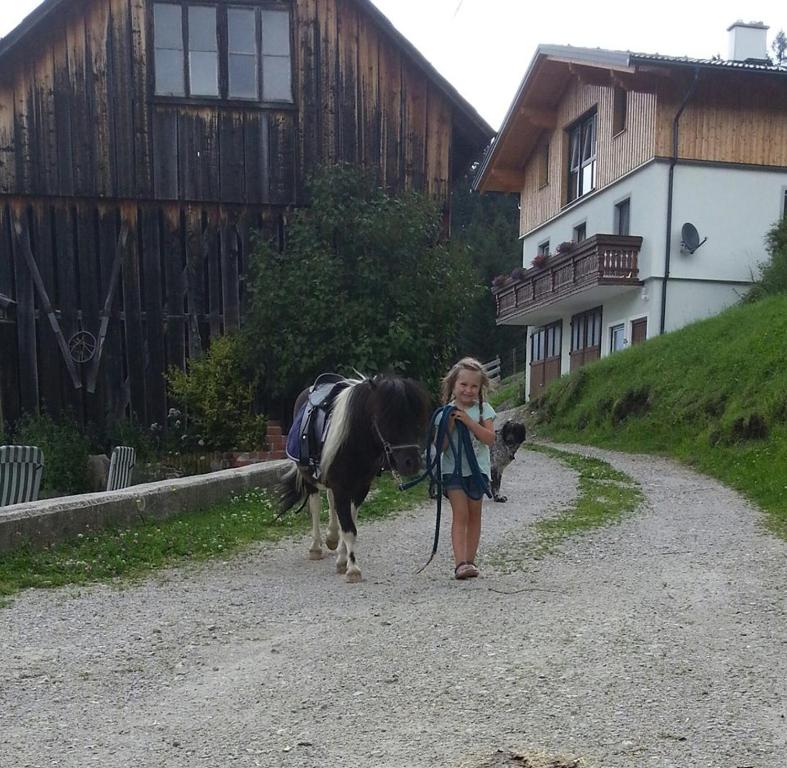Zvířata v farmy nebo okolí