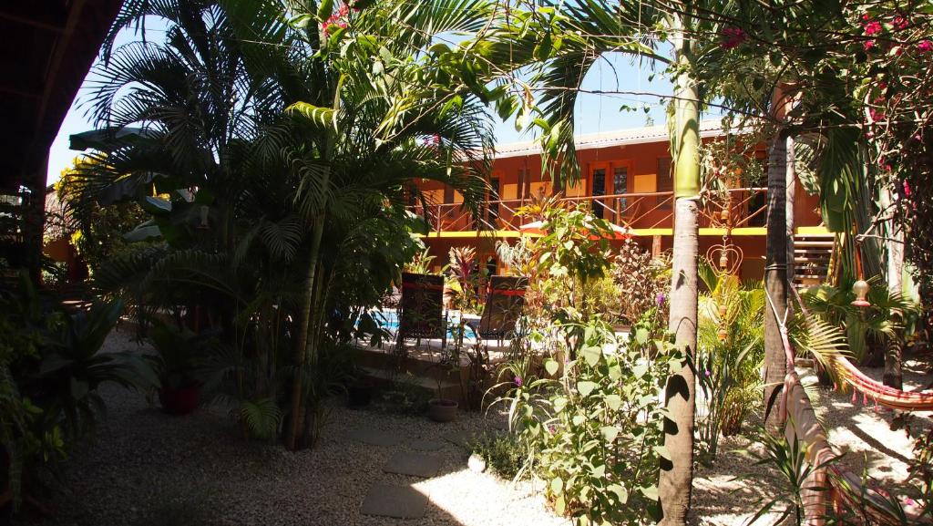 Samara Palm Lodge, Sámara – Aktualisierte Preise für 2023