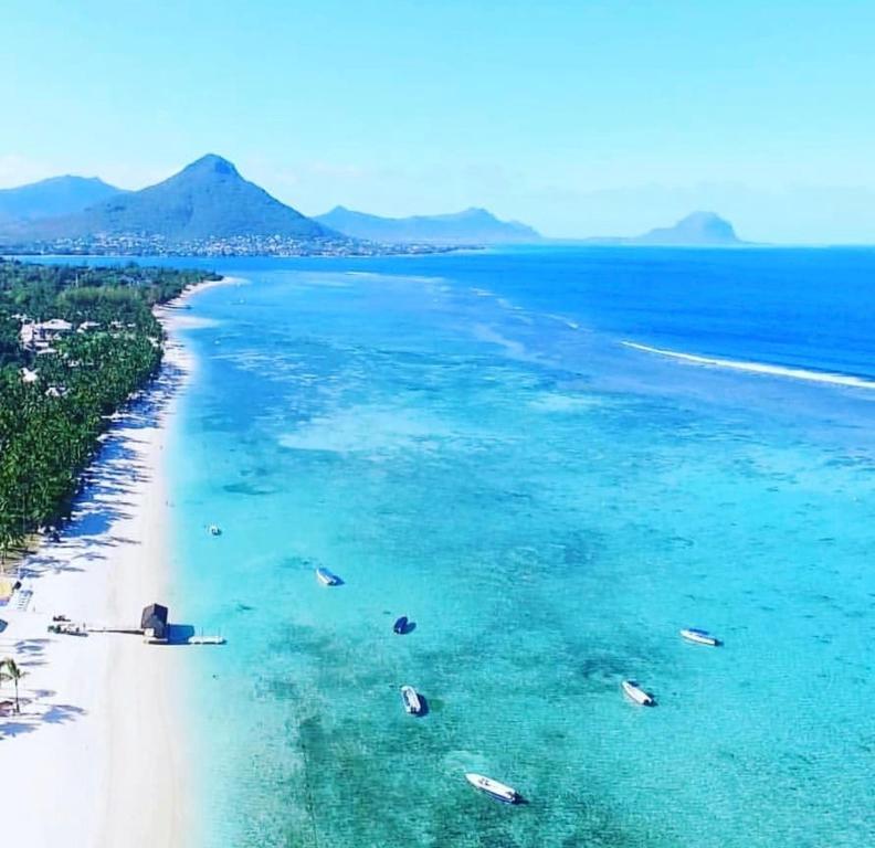 Exotic Copa Cabana Beachftont, Flic en Flac – Tarifs 2024