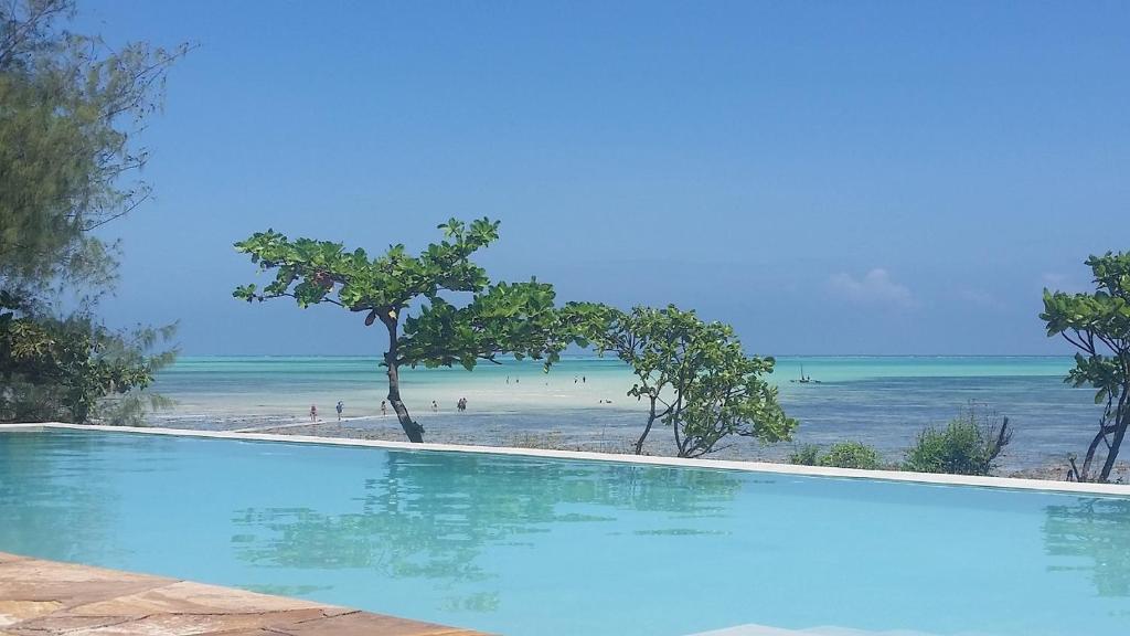 a swimming pool next to a beach with the ocean at Jaribu Beach Hotel in Paje