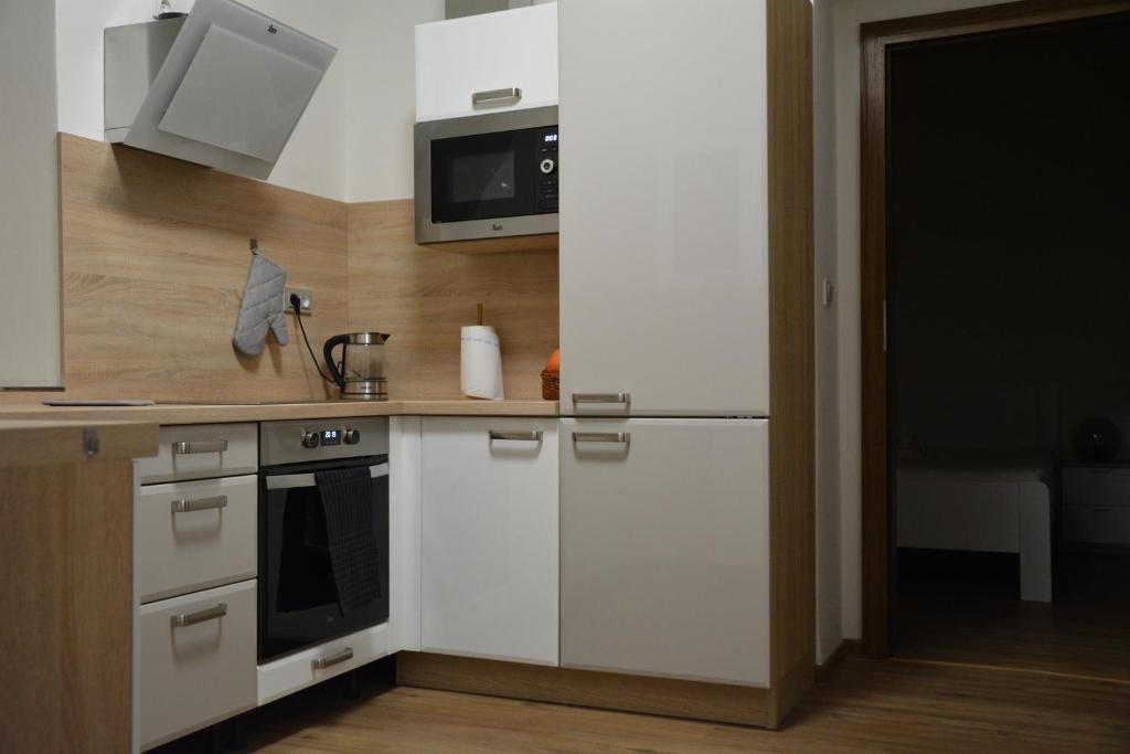 Kuchyň nebo kuchyňský kout v ubytování Apartmány Karina