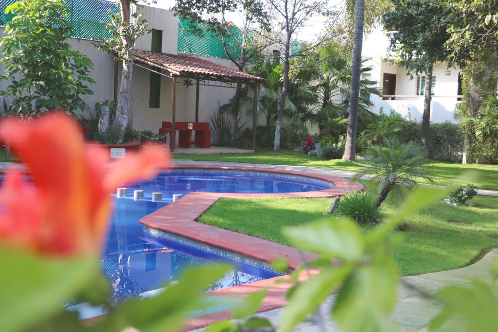 Bazén v ubytování Áurea Hotel and Suites nebo v jeho okolí