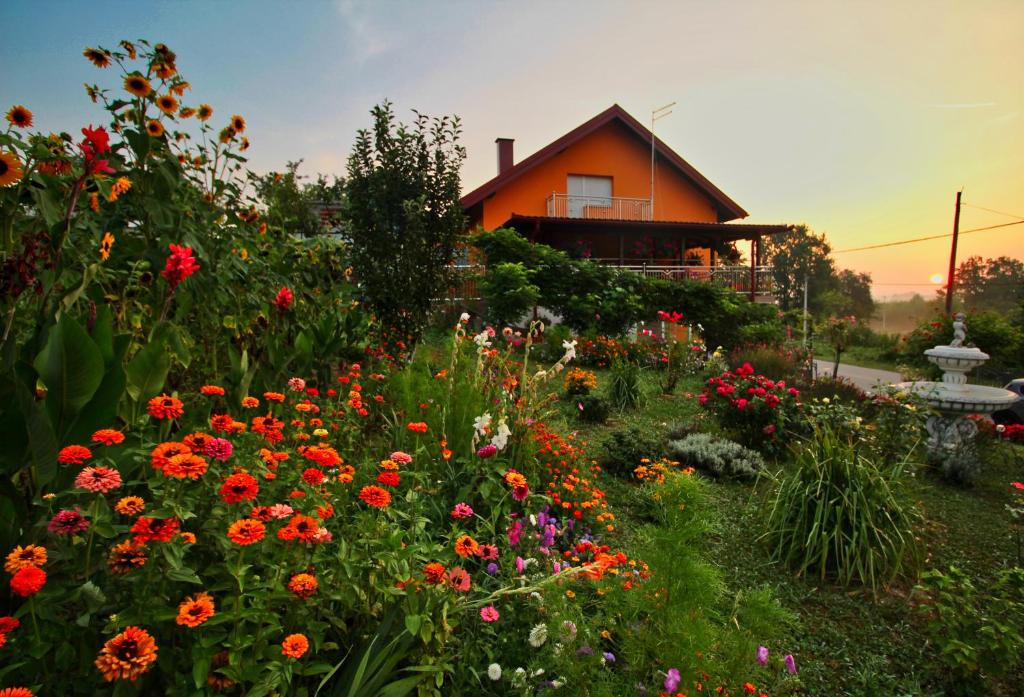 un giardino fiorito di fronte a una casa di Apartman Dimač a Topusko