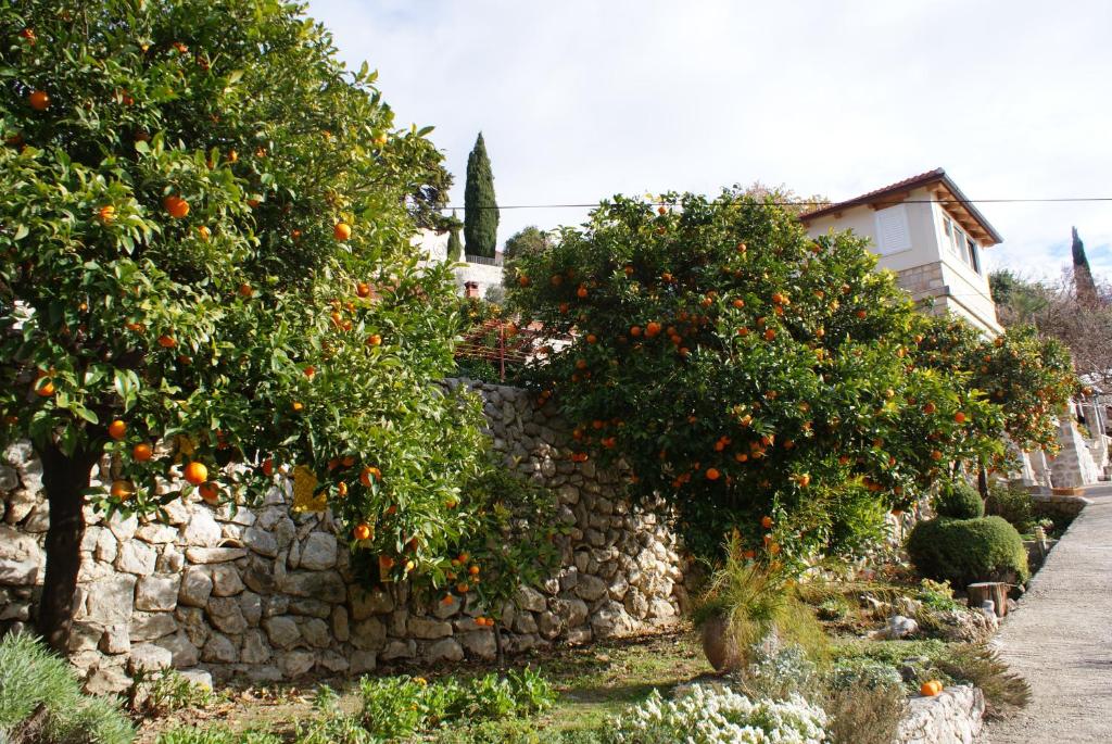 Vonkajšia záhrada v ubytovaní Three oranges