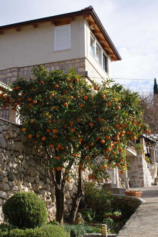 Vonkajšia záhrada v ubytovaní Three oranges