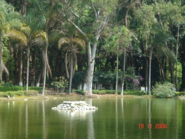  Apts no Condominio Quisisana