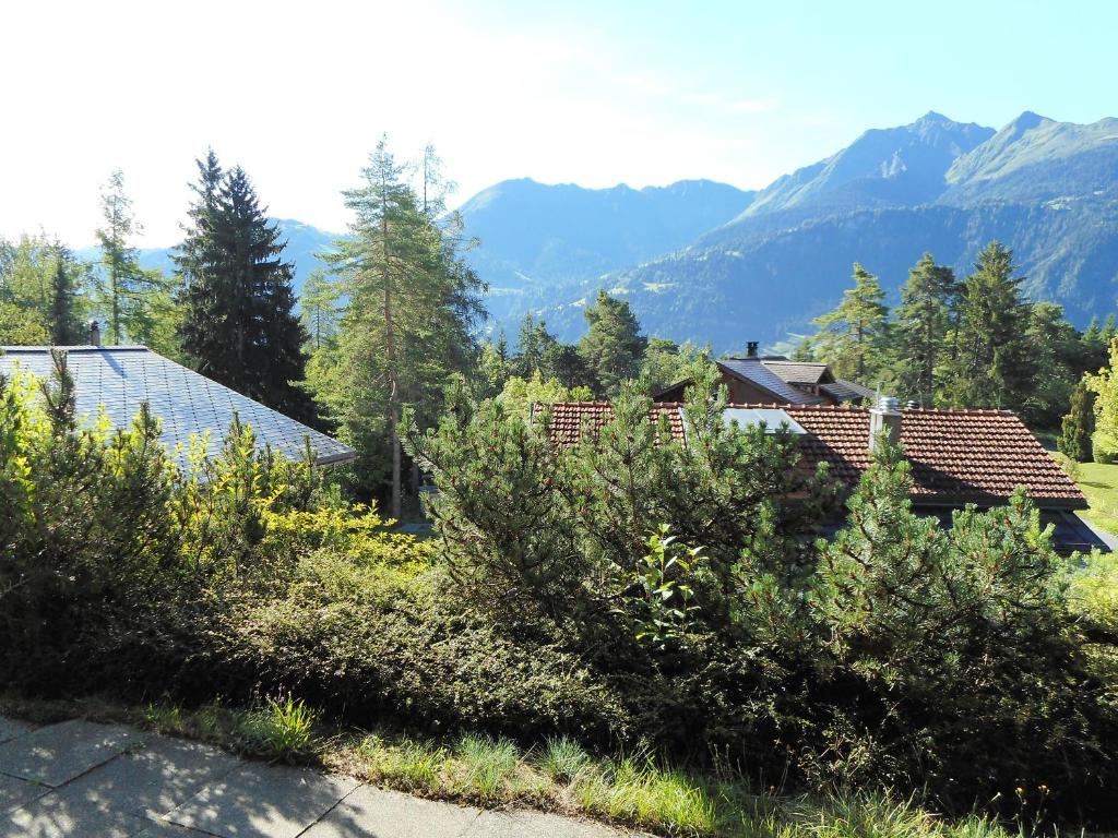 Příroda nedaleko apartmánu