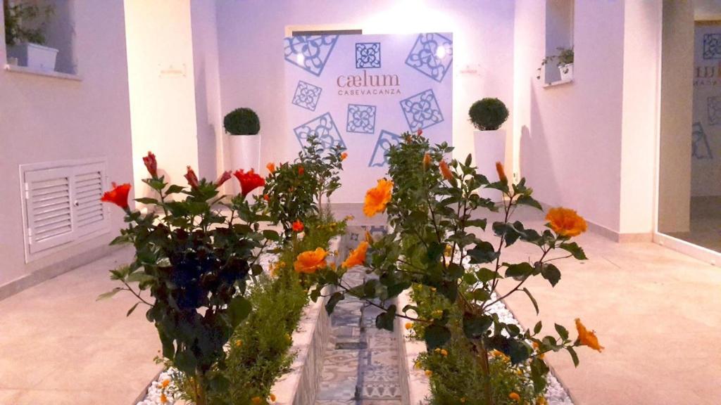un groupe de fleurs dans des vases dans une pièce dans l'établissement Caelum Case Vacanza, à Trapani