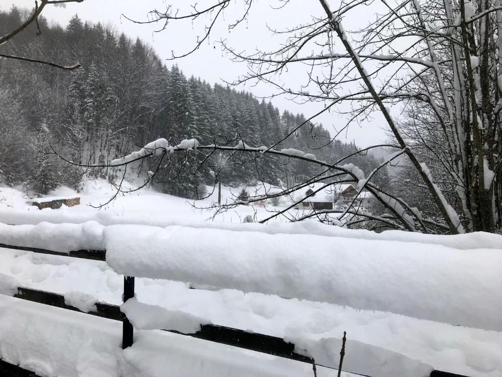 Landhaus Haselmoar durante l'inverno