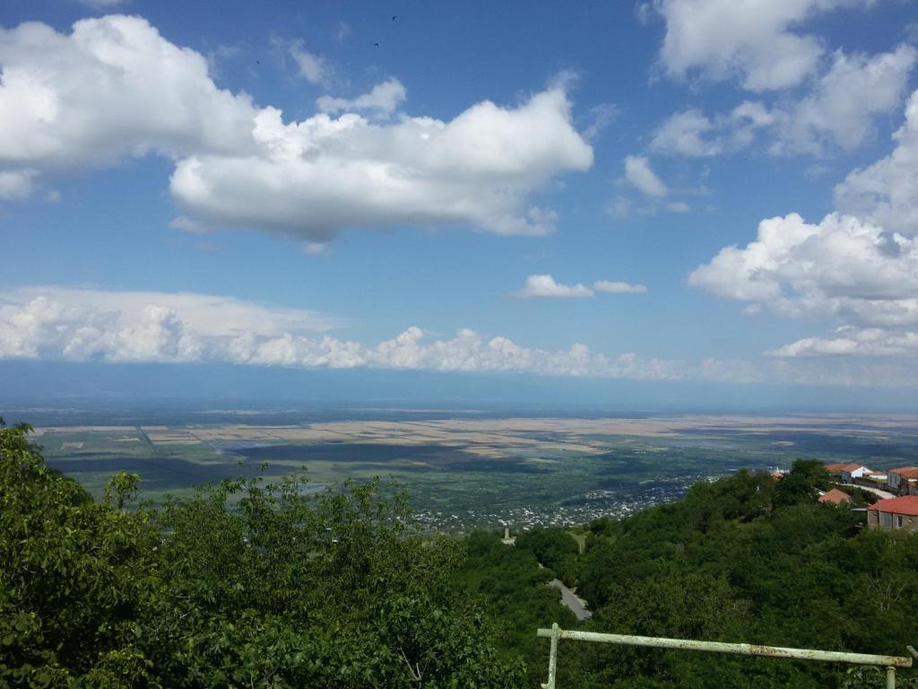 Příroda nedaleko penzionu