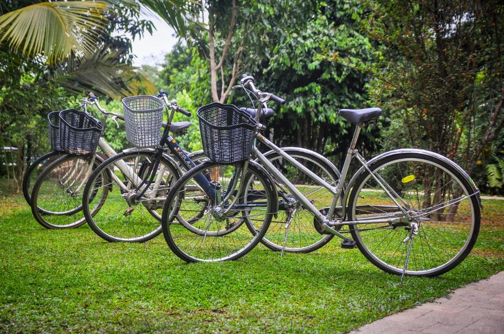 Berbasikal di atau sekitar Garcinia Leaf