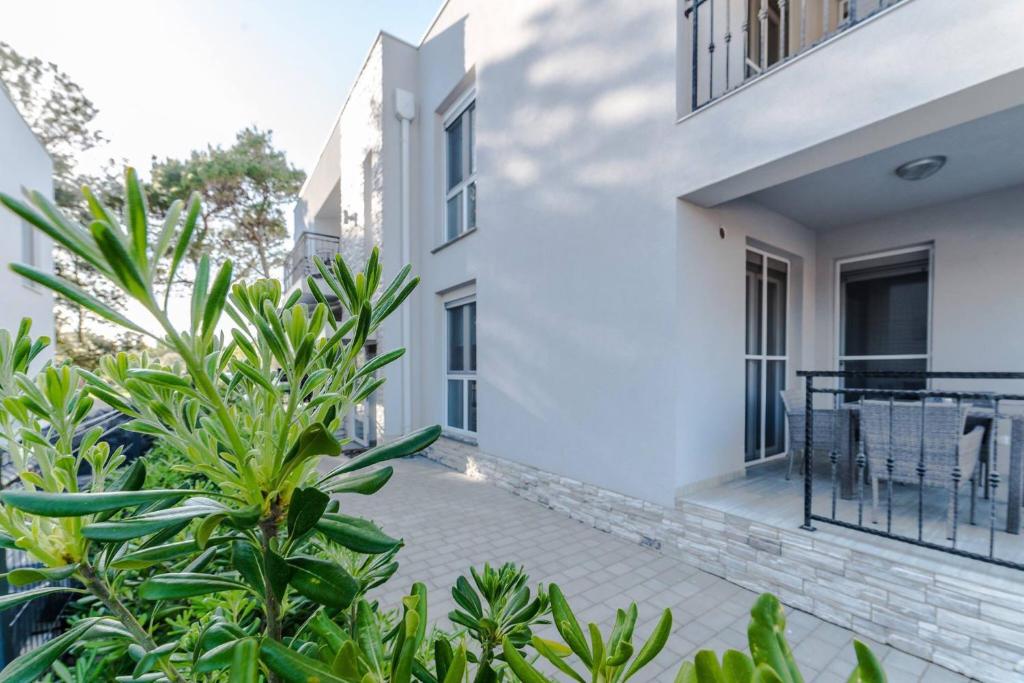 - une vue sur la cour d'une maison ornée de plantes dans l'établissement Apartmani Villa Adriatic, à Vir
