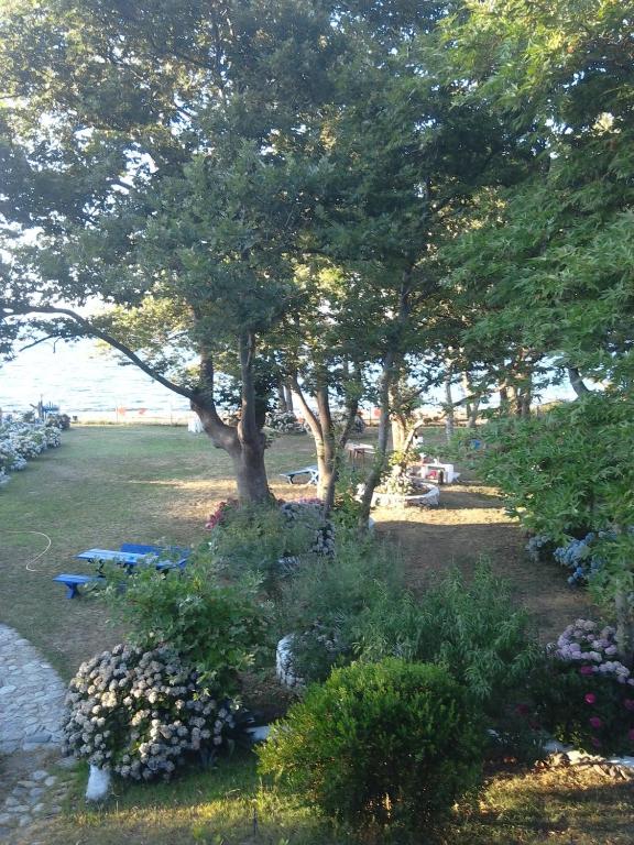 Zahrada ubytování Archondissa Beach Aparthotel
