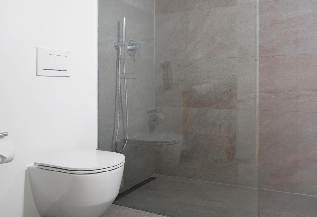 a bathroom with a toilet and a glass shower at Haus-Ascot-Zermatt in Zermatt