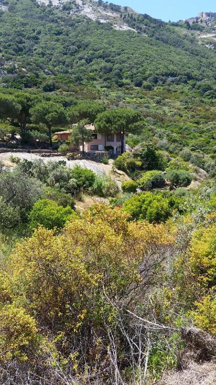 ein Haus auf einem Hügel mit Bäumen und Sträuchern in der Unterkunft Villa Laura Aegilium in Giglio Porto