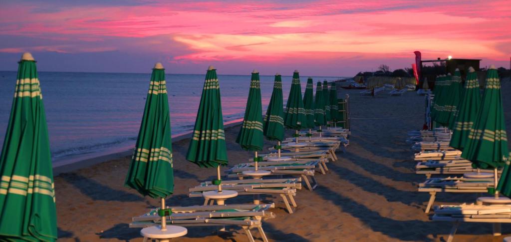 Táj Show holiday homes közelében