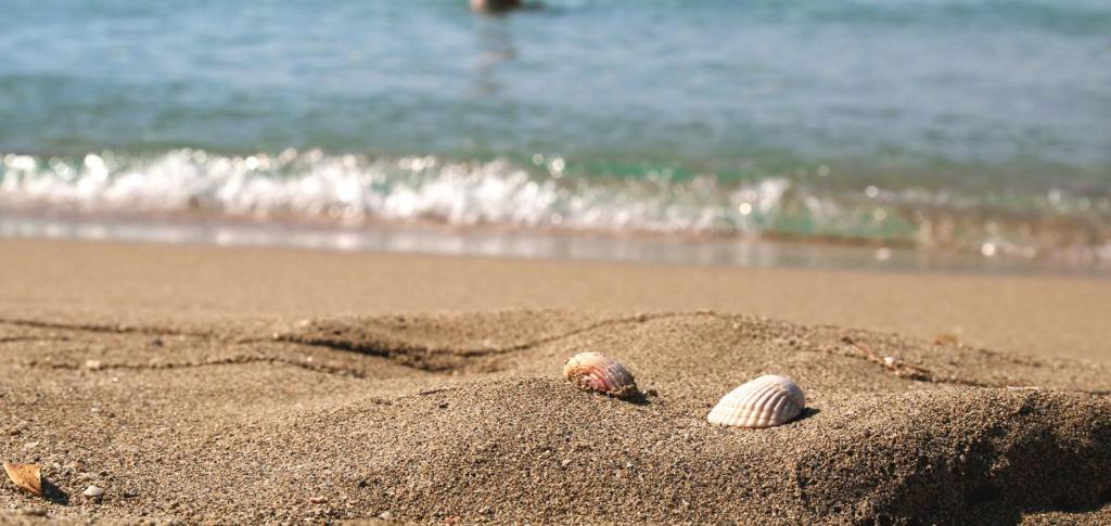 Táj Show holiday homes közelében