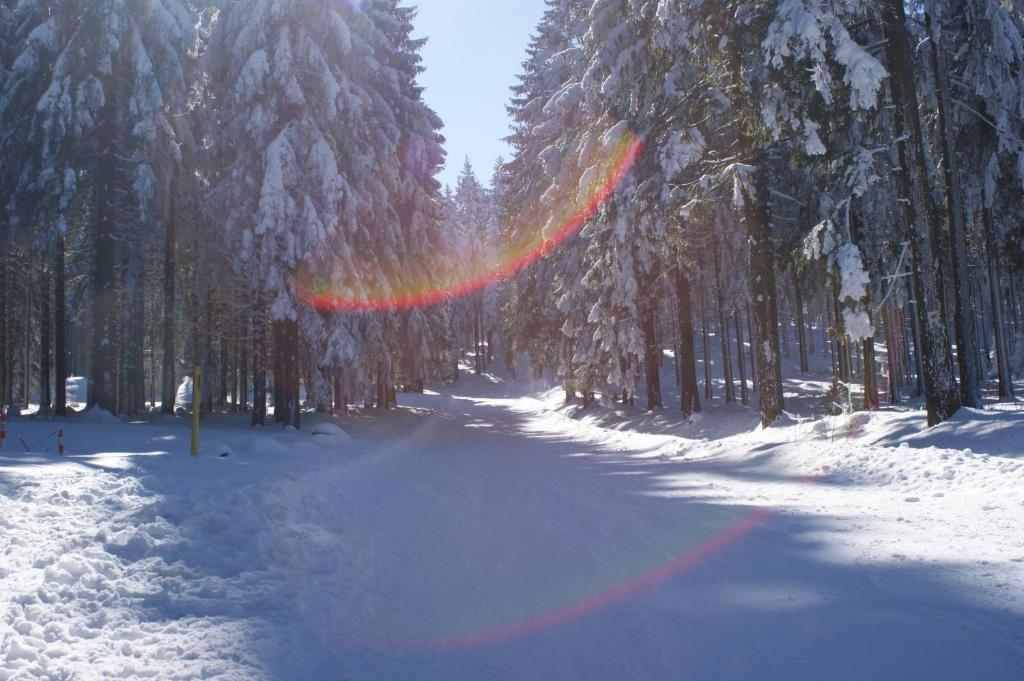 Hotel Haus Oberland v zimě