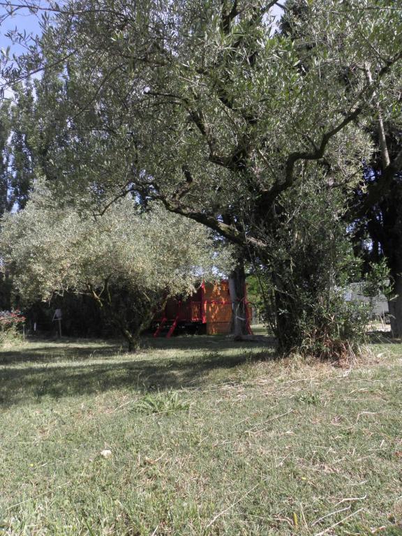 Zahrada ubytování Provence Roulottes