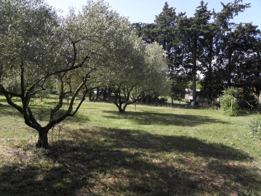 Zahrada ubytování Provence Roulottes