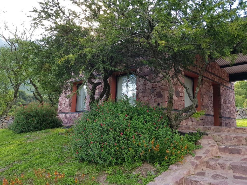 una casa de ladrillo con un árbol delante de ella en La Morada en Purmamarca