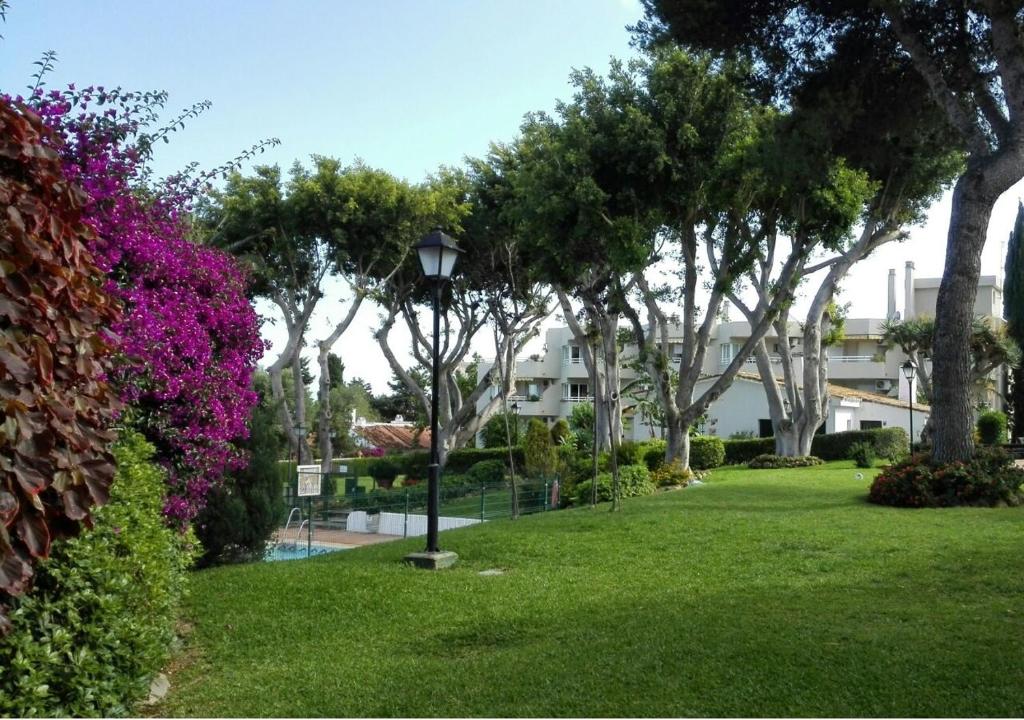 トレモリノスにあるCoqueto estudio Montemarの街灯と木々と花々が咲き誇る公園