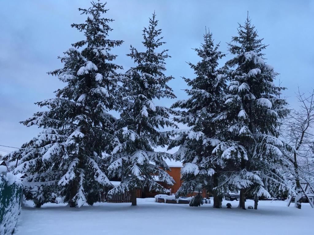 Fotografie z fotogalerie ubytování Ubytování U Rybníčka v destinaci Arnoltice u Děčína