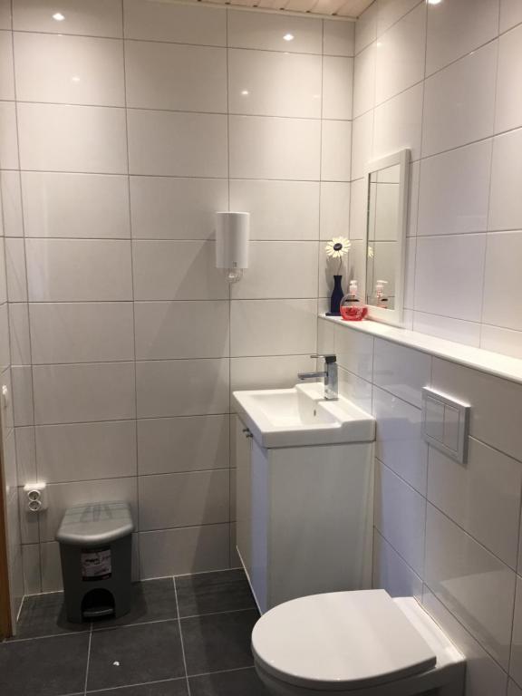 La salle de bains blanche est pourvue de toilettes et d'un lavabo. dans l'établissement Vånga Hostel, à Vånga