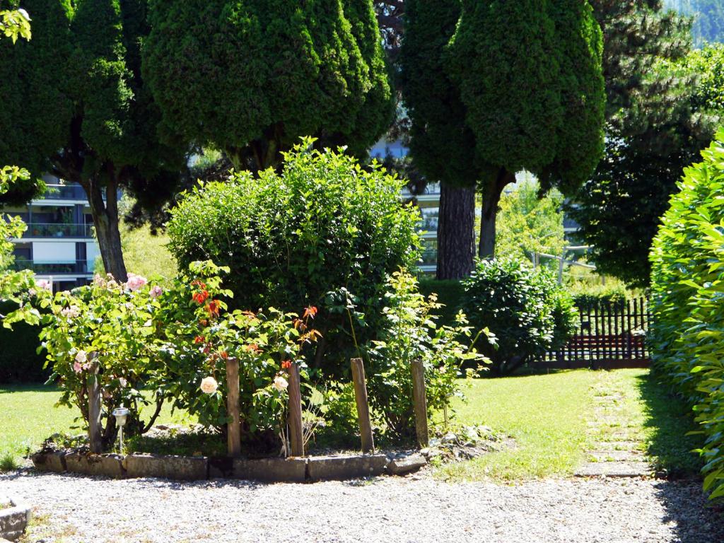 Zahrada ubytování Chalet Maria Interlaken