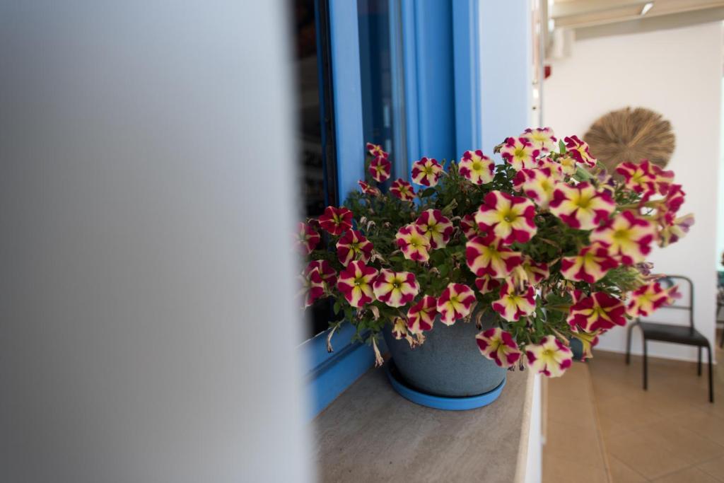 a potted plant with pink and yellow flowers in a room at Studios Angela Port in Lipsoi