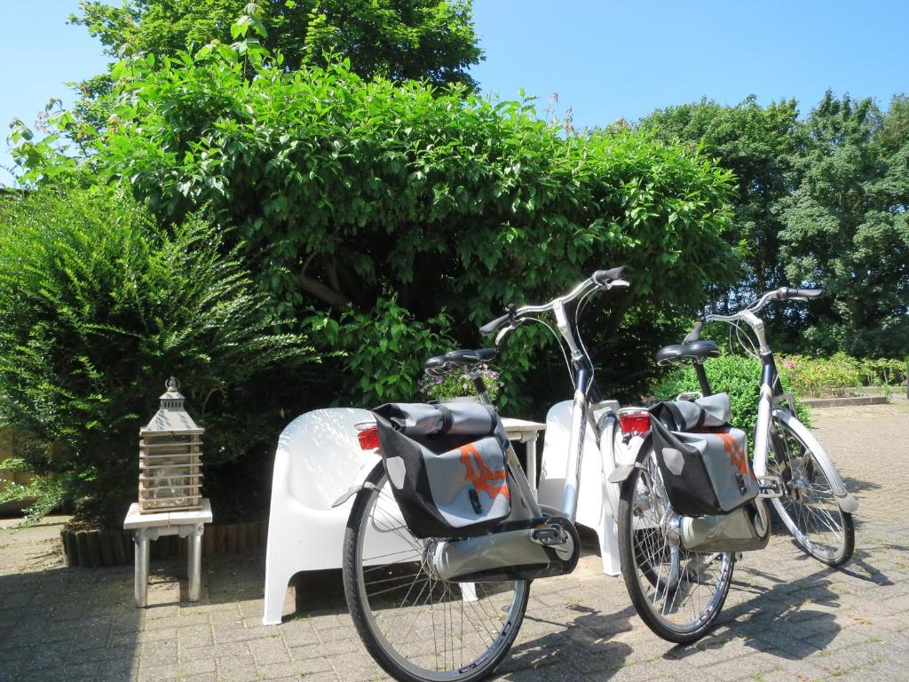 Fotografie z fotogalerie ubytování B&B Vloedlijn Texel v destinaci Den Burg