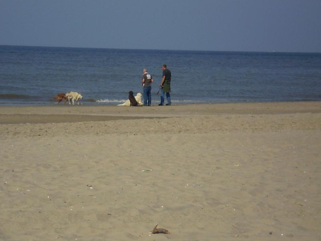 Hosté ubytování Noordwijk Holiday Rentals